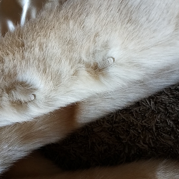 Dennis Basso faux fur coat, nwt - Picture 6 of 9